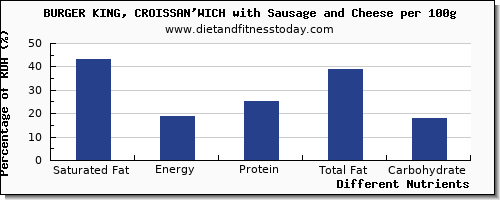 chart to show highest saturated fat in burger king per 100g